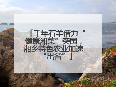 千年石羊借力“健康湘菜”突围，湘乡特色农业加速“出省”